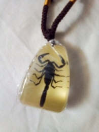 Large Scorpion Necklace