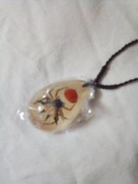 Spider with Red Seed Necklace