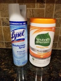 Lysol Disinfecting Spray 19oz & Seventh Generation Wipes 70ct