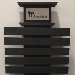 5 level Martial Arts belt display