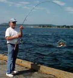 SPORTY Crab Trap Cast-It- w/yur Fishing-rod. ONE Minute Crab FISHING *FREE SHIP